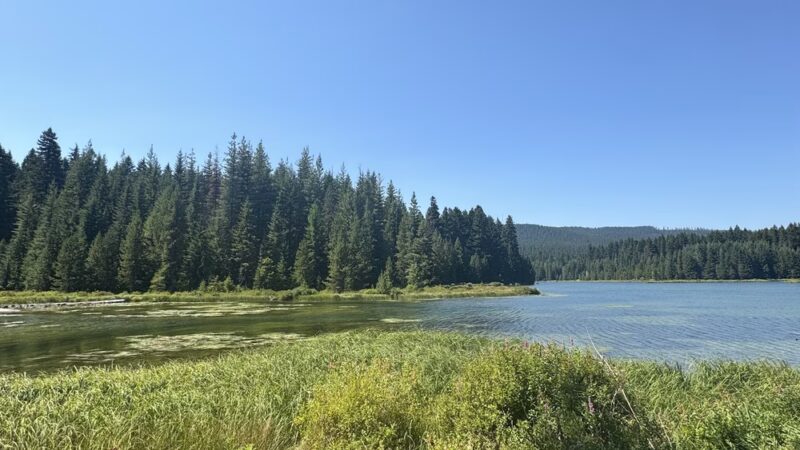 Timothy Lake (PGE) Trailhead - Government Camp, OR