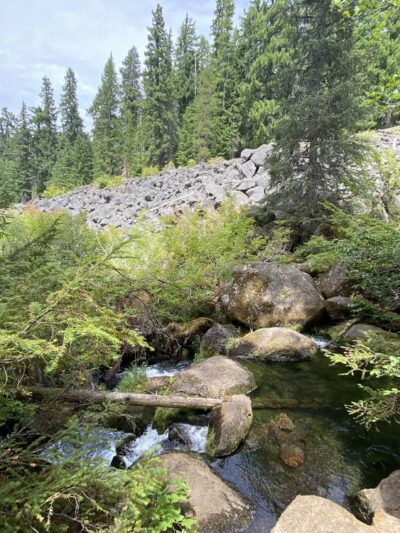 Timothy Lake (PGE) Trailhead - Government Camp, OR