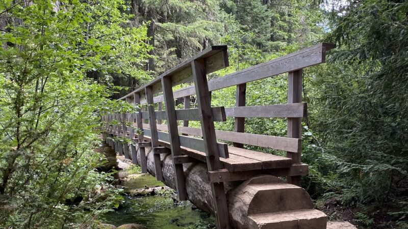 Timothy Lake (PGE) Trailhead - Government Camp, OR