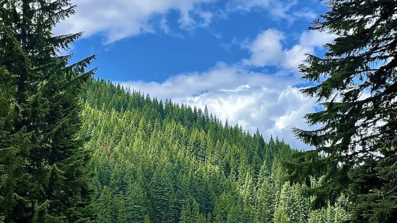 Trillium Lake - Government Camp, OR