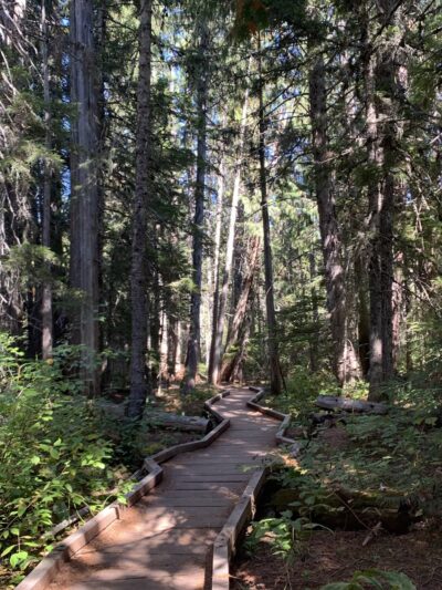 Trillium Lake Day Use/Picnic Area - Government Camp, OR