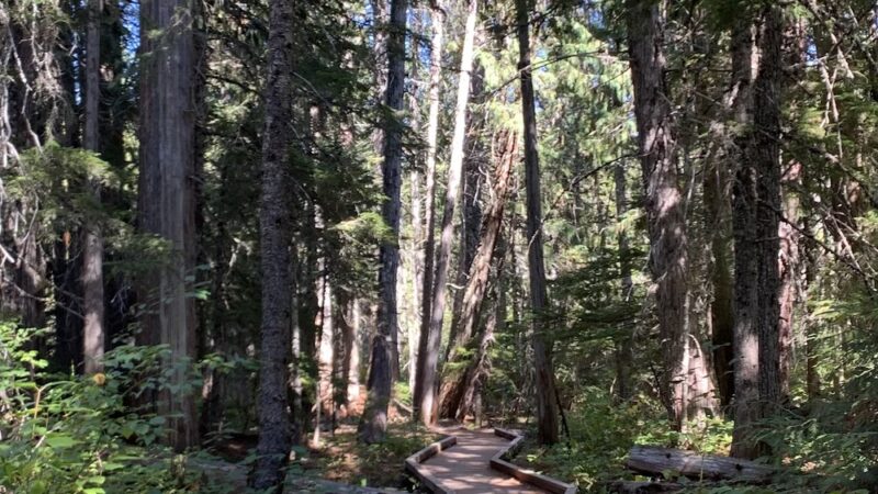 Trillium Lake Day Use/Picnic Area - Government Camp, OR