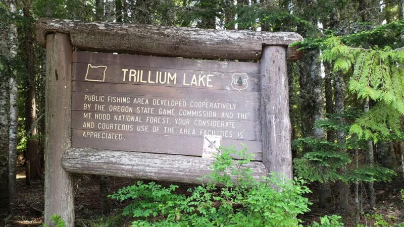 Trillium Lake Day Use/Picnic Area - Government Camp, OR