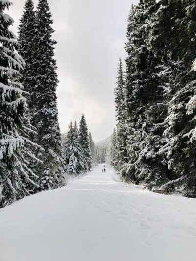 Trillium Lake Trailhead - Government Camp, OR