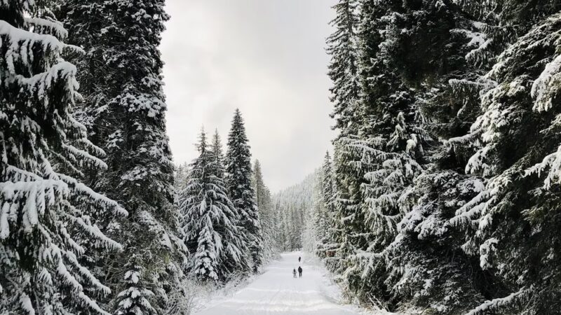 Trillium Lake Trailhead - Government Camp, OR