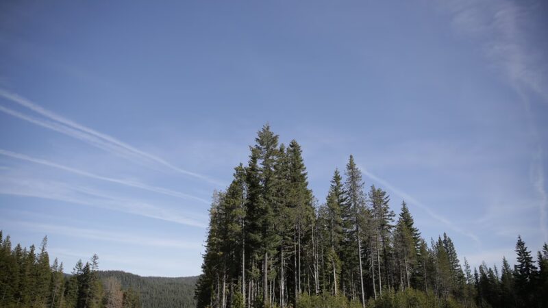 Trillium Lake Trailhead - Government Camp, OR
