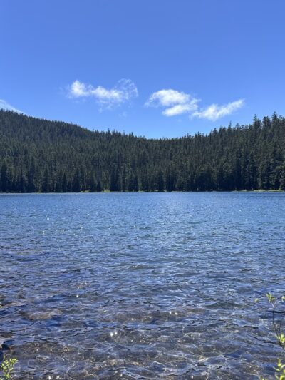 Twin Lakes Hiking Trail - Government Camp, OR