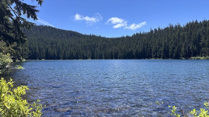 Twin Lakes Hiking Trail - Government Camp, OR