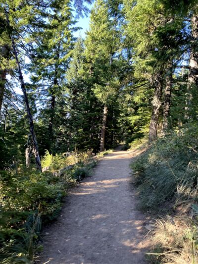 Twin Lakes Hiking Trail - Government Camp, OR
