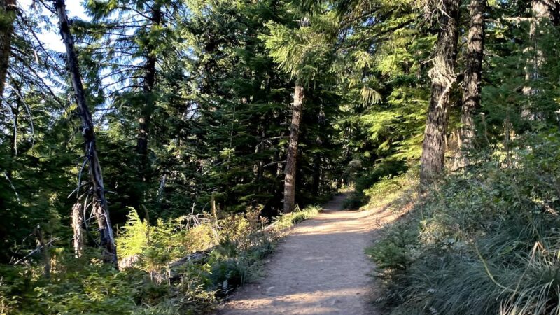 Twin Lakes Hiking Trail - Government Camp, OR