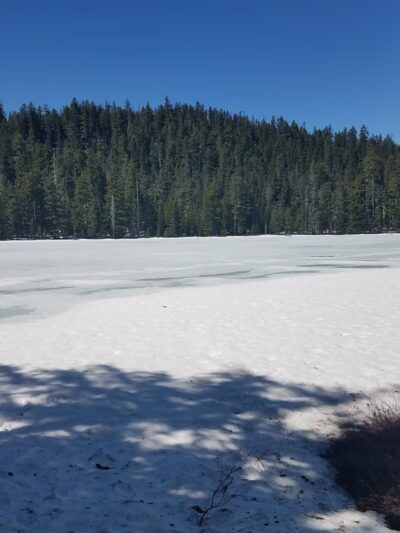 Twin Lakes Hiking Trail - Government Camp, OR