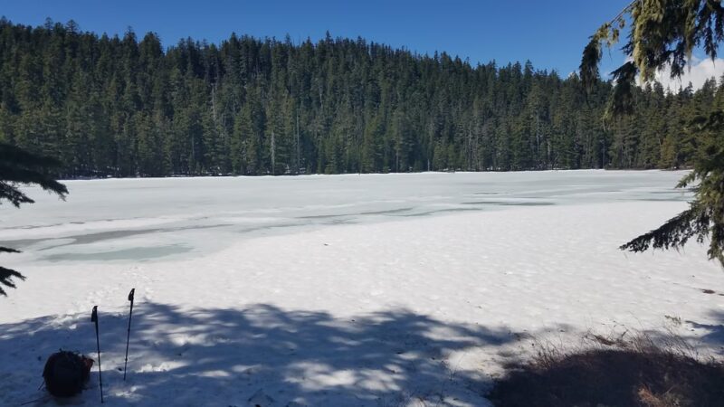 Twin Lakes Hiking Trail - Government Camp, OR