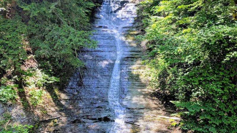 Zoar Valley Multiple Use Area - Gowanda, NY