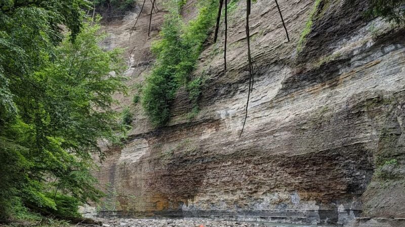 Zoar Valley Multiple Use Area - Gowanda, NY