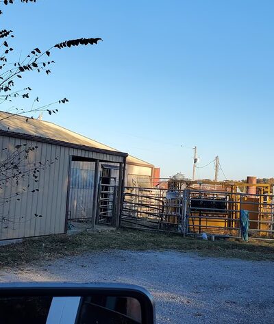 Graff Veterinarian Clinic - Graff, MO