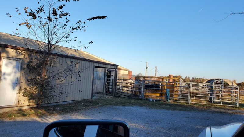 Graff Veterinarian Clinic - Graff, MO