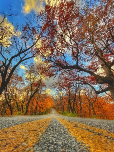 Pere Marquette State Park - Grafton, IL