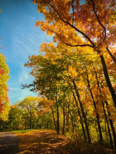 Pere Marquette State Park - Grafton, IL