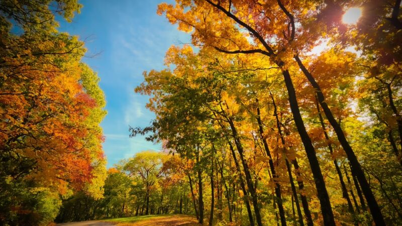 Pere Marquette State Park - Grafton, IL