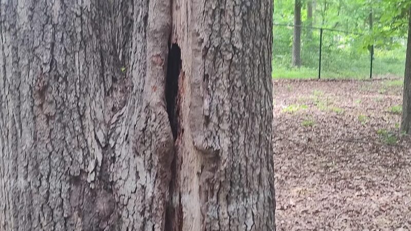 Bill Cooke Park - Graham, NC