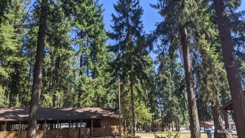 Frontier Park - Graham, WA
