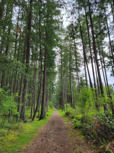 Frontier Park - Graham, WA