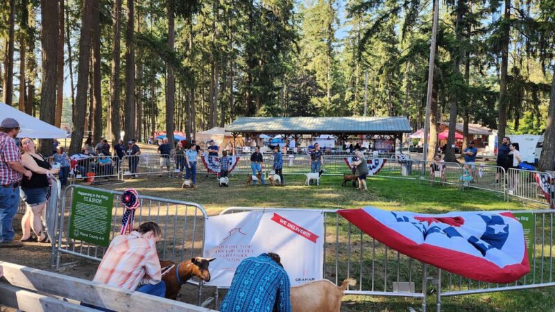 Frontier Park - Graham, WA