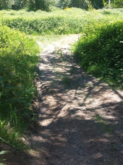 Kapowsin Lake Walking Trails Park - Graham, WA
