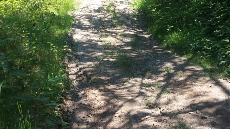 Kapowsin Lake Walking Trails Park - Graham, WA