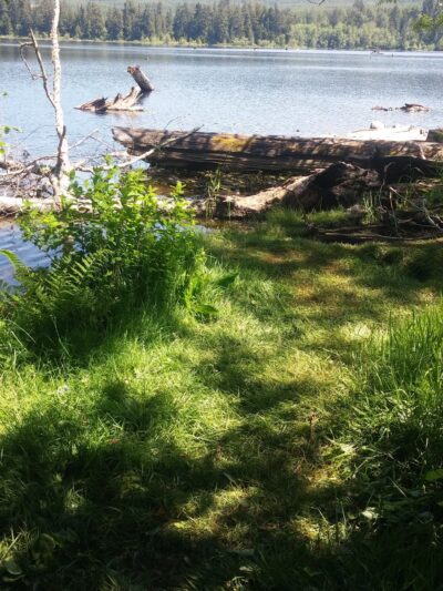 Kapowsin Lake Walking Trails Park - Graham, WA