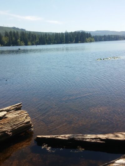 Kapowsin Lake Walking Trails Parking - Graham, WA