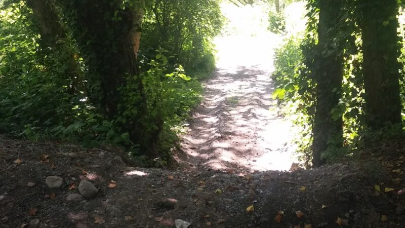 Kapowsin Lake Walking Trails Parking - Graham, WA