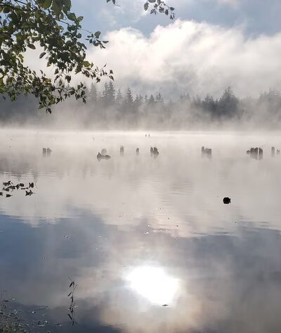 Kapowsin Lake Walking Trails Parking - Graham, WA