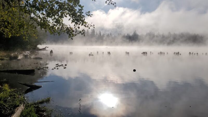 Kapowsin Lake Walking Trails Parking - Graham, WA