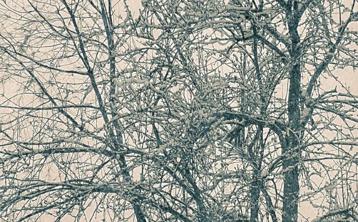 Grampian Park - Grampian, PA