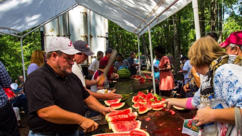 Grand Bay Odd Fellows Festival Park - Grand Bay, AL