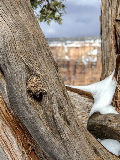 Grand Canyon Kennel - Grand Canyon Village, AZ