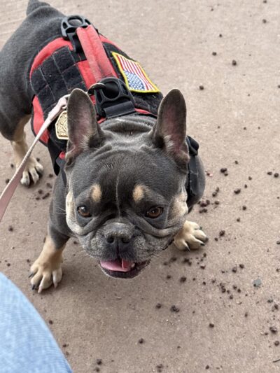 Grand Canyon Kennel - Grand Canyon Village, AZ