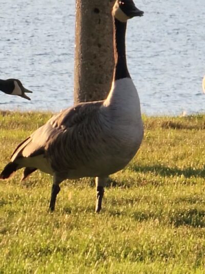 North Dam Park - Grand Coulee, WA