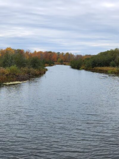 Buckhorn Island State Park - Grand Island, NY