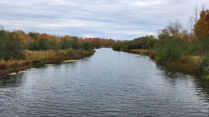 Buckhorn Island State Park - Grand Island, NY