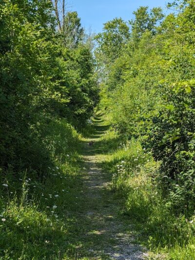 Buckhorn Island State Park - Grand Island, NY