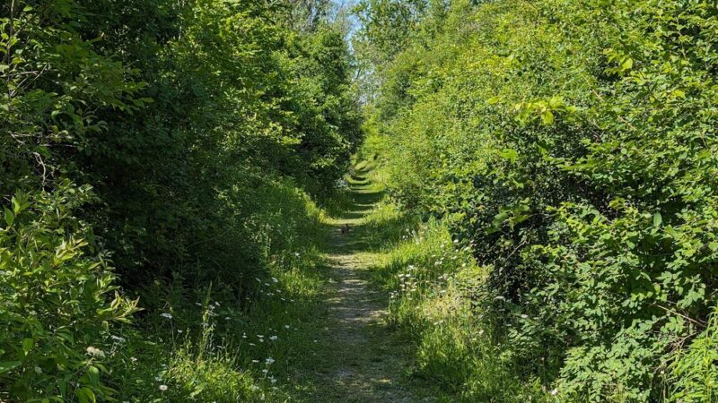 Buckhorn Island State Park - Grand Island, NY