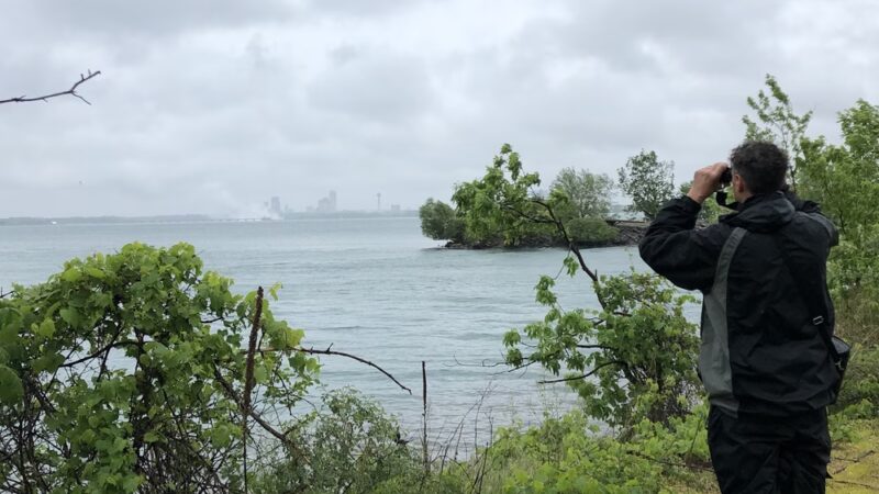 Buckhorn Island State Park Peninsula - Grand Island, NY