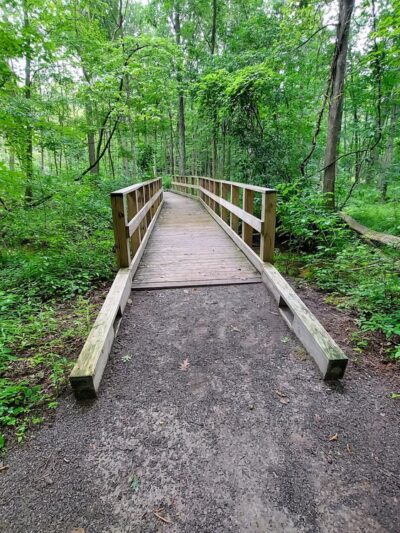 Scenic Woods Park - Grand Island, NY