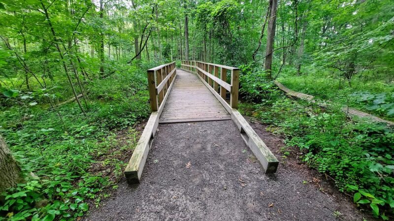 Scenic Woods Park - Grand Island, NY