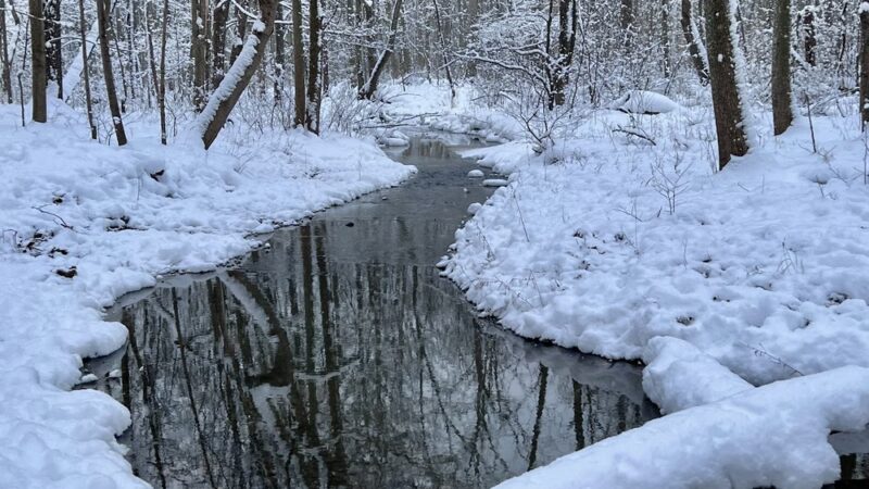 Scenic Woods Park - Grand Island, NY