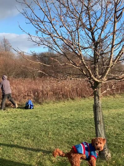 Veterans Park - Grand Island, NY