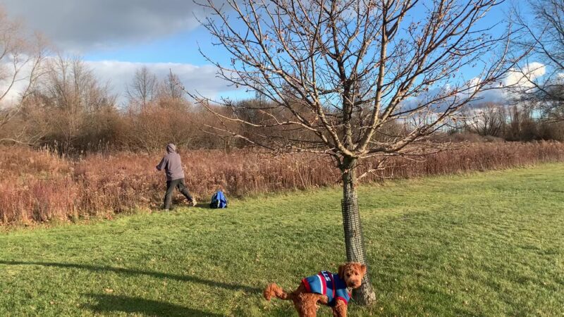 Veterans Park - Grand Island, NY