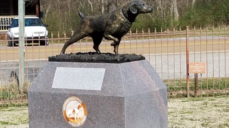 National Bird Dog Museum - Grand Junction, TN